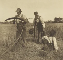 In the Barley-Harvest, Suffolk