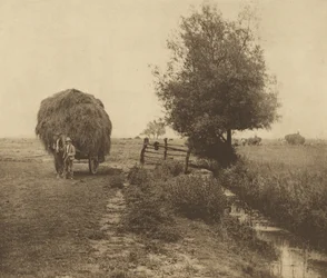 In the Haysel. [Norfolk.]