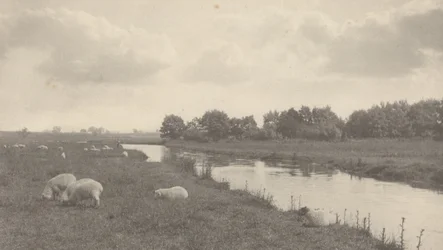 On the River Bure