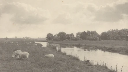 On the River Bure