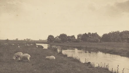 On the River Bure