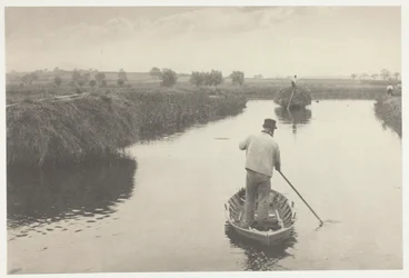 Quanting the Marsh Hay