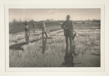 Snipe-Shooting