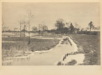 The Edge of the Broad