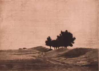 Evening Landscape