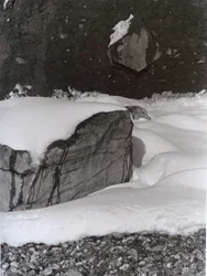 Vintage B&W Photo No.3, 1985