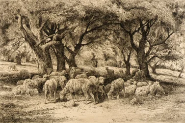 A New England Orchard