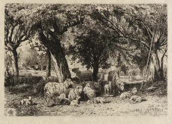 Sheep in an Orchard