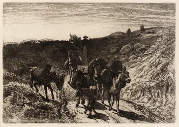 A Burro Train, New Mexico