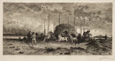 Harvest at San Juan, New Mexico