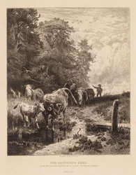 The Returning Herd