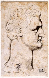 Domitian, from Ten Drawings of Eight of the First Twelve Caesars