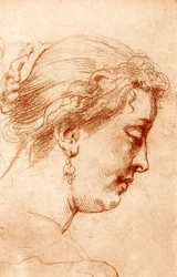 Female Profile Head