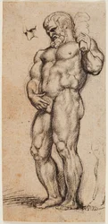 Hercules