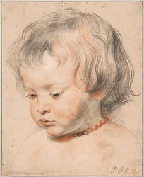 Nicolaas Rubens Wearing a Coral Necklace