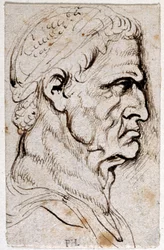 Vespasian, from Ten Drawings of Eight of the First Twelve Caesars
