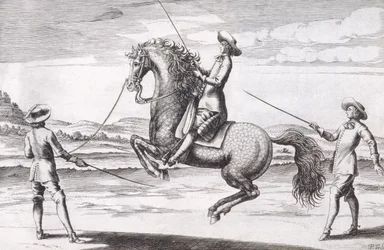 Illustration of a horse en Croupade from New Treatise for Breeding Horses written by Winters, Stuterey and Reit-Schul, pub. 1672