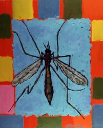 Fly