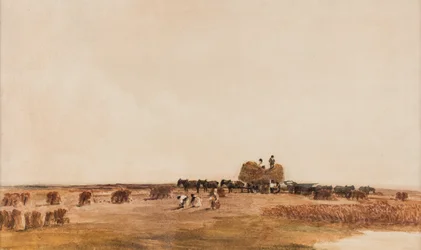Harvest Time