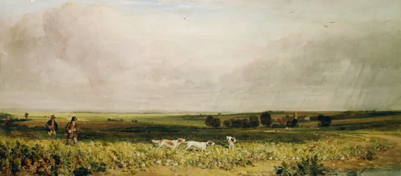 Partridge Shooting