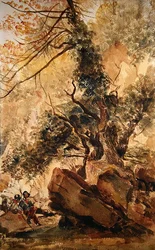 The Dingle at Badger, Near Bridgnorth, Shropshire