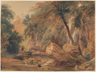 Waterfall in the Dingle at Badger Hall