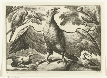 Eagle (Various Birds series)