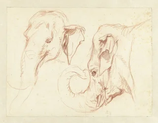 Two Sketches of the Head of an Elephant
