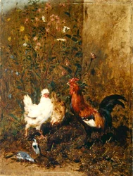 Chickens and Birds