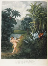 Cupid Inspiring Plants with Love