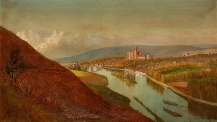 Sens from the Vineyards