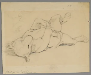 Sleeping Lioness