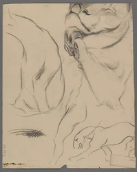 Studies of a Lion