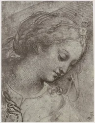 Head of the Virgin
