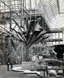 Tropical Plants in the Egyptian Room, Crystal Palace, Sydenham, London, 1854