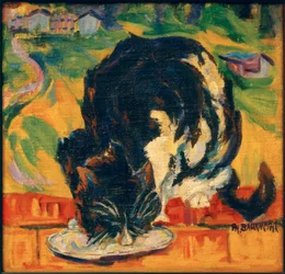 Eating Cat