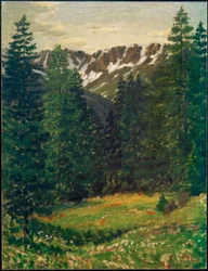 Forest Landscape