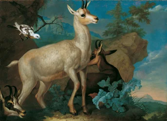 Three Chamois and a Blackbird