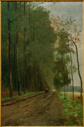 Road at the Edge of the Forest