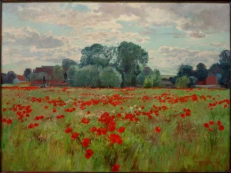 Goose Meadow