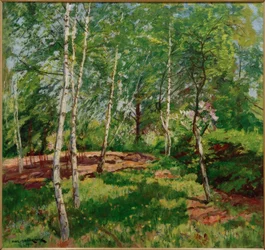 Meadow with Birches