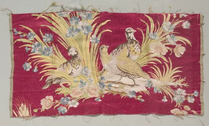 Silk Fragment