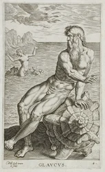 Glaucus