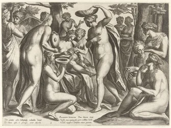 Education of Adonis (The Story of Adonis)