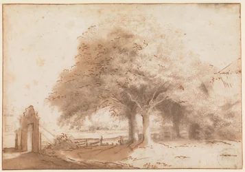 Tall Trees in Front of a Farm