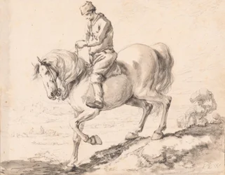 A rider crosses a stream with his horse