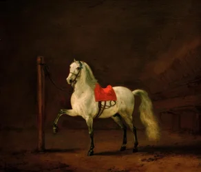 A White Horse in the Stable