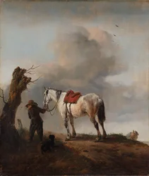 The Grey Horse