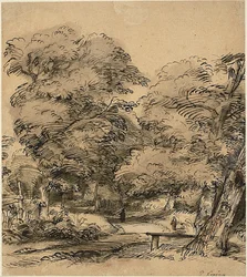 A Path in the Woods
