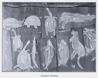 Aboriginal Drawings